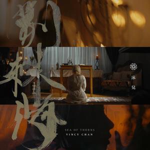 玩弄jaPen白女嫩少妇HD四川搡BB
